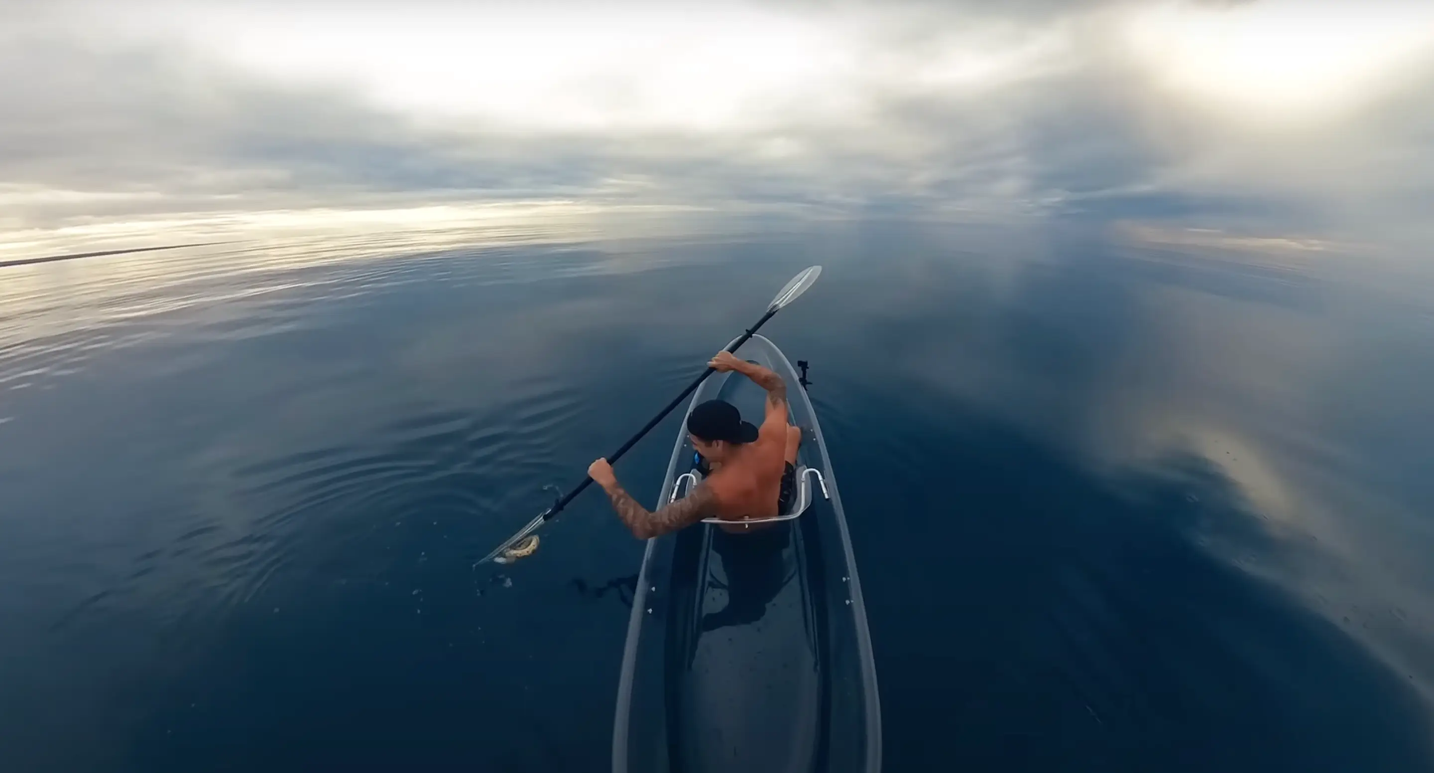 Brodie came across several different sea animals (YouTube/YBS Youngbloods)