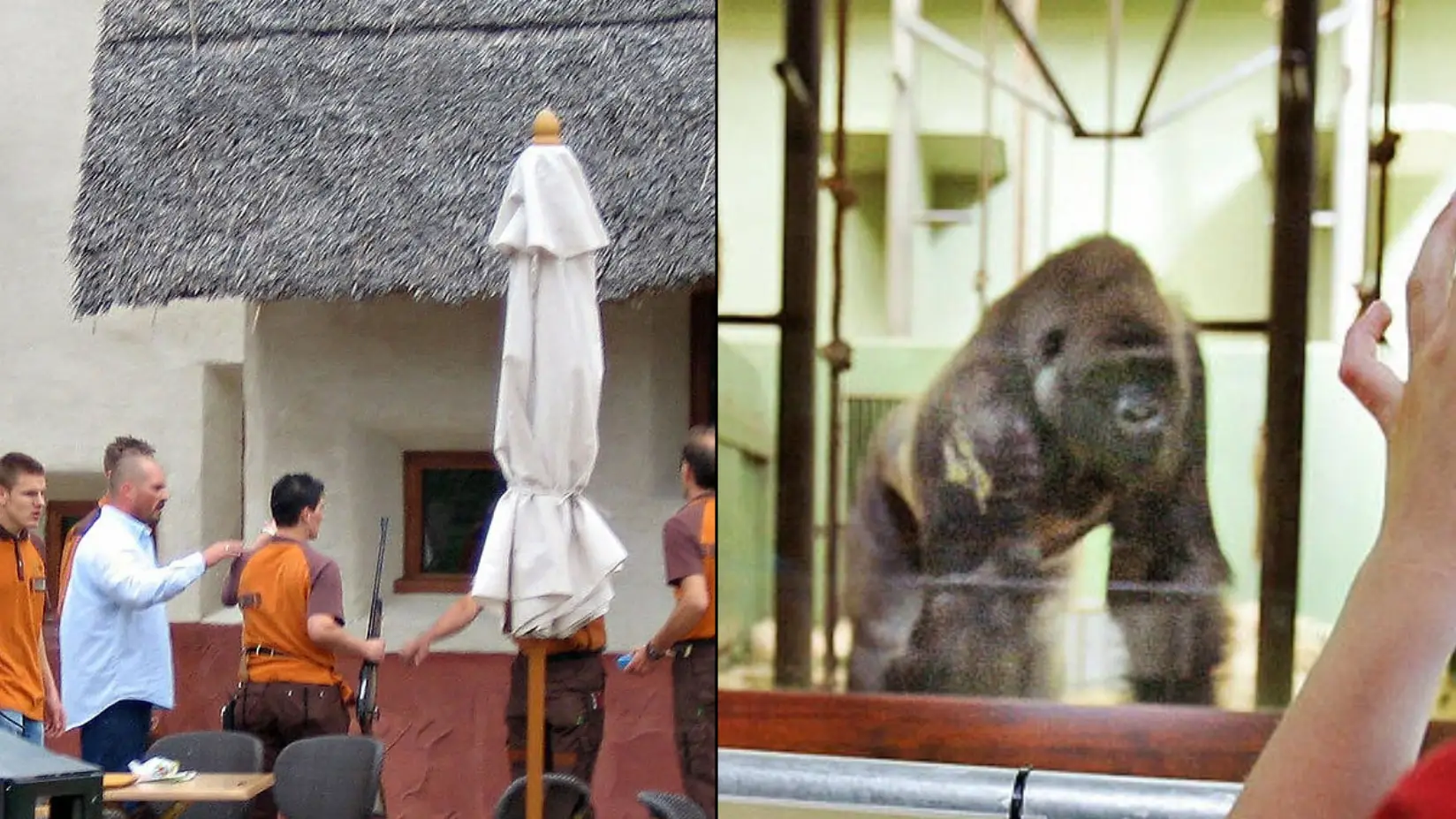 Ed Oudernaarden/Getty Images