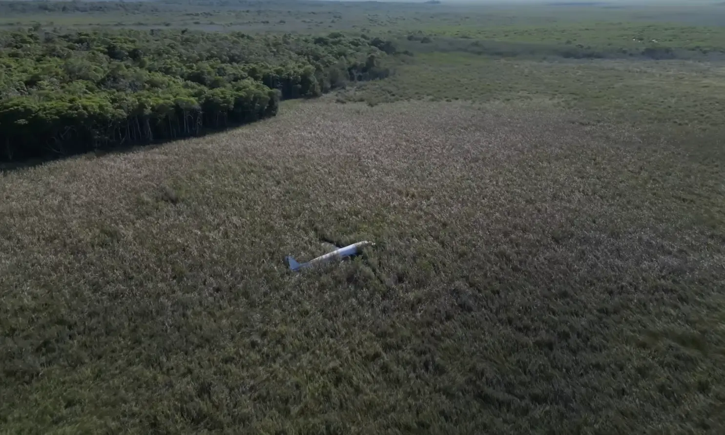 The aircraft, believed to belong to drugs kingpin Pablo Escobar, is surrounded by thick grass and mangroves (YouTube/fearlessandfar)