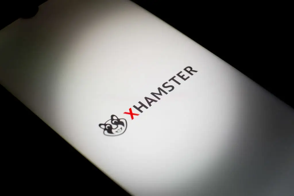 XHamster revealed they'd seen a significant drop in users since the changes were implemented (Nikolas Kokovlis/NurPhoto via Getty Images)