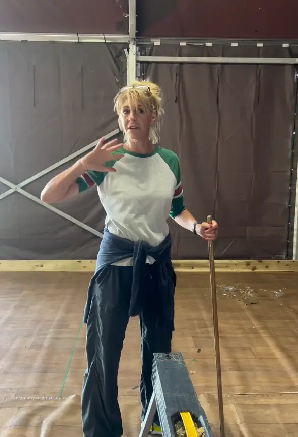 Lisa has confirmed some exciting news (Instagram / thetallirish)