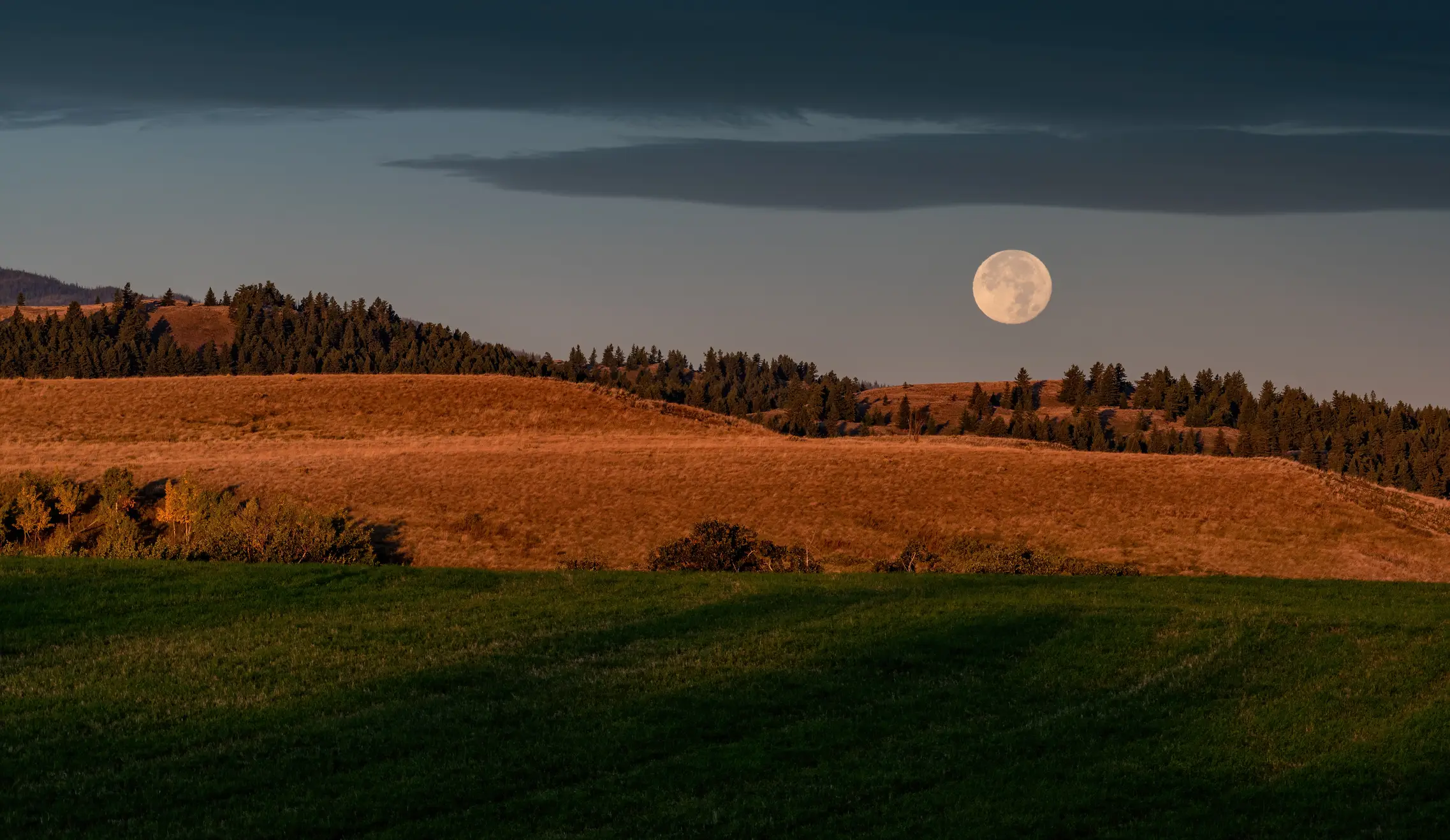 How can you see it? (Getty Stock Images)