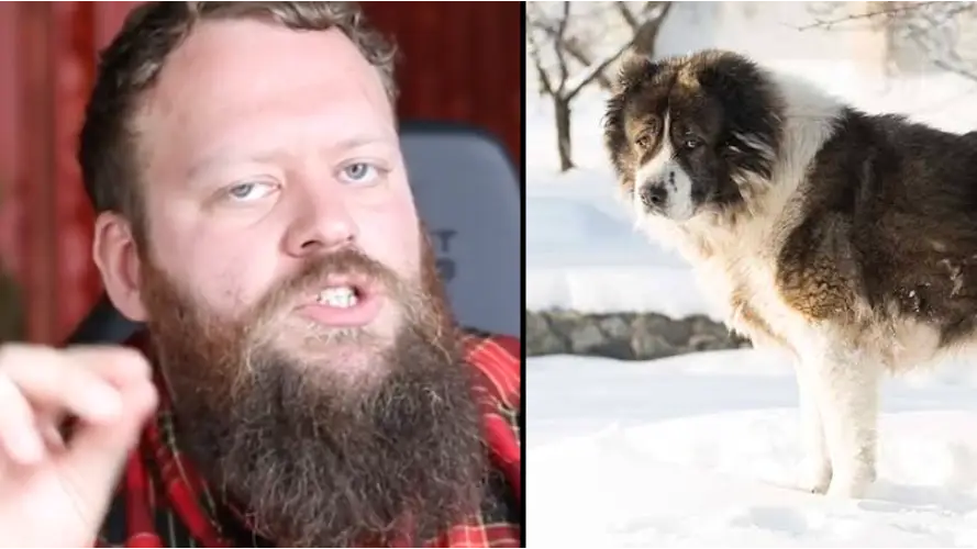 Iamwillatherton/American Kennel Club