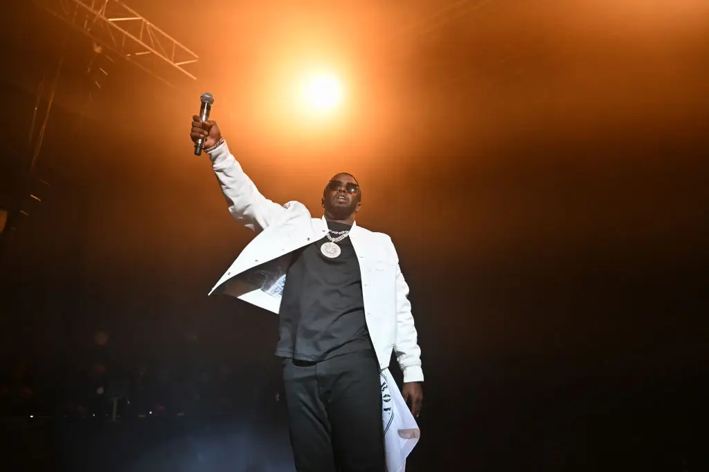 Sean 'Puff Daddy' Combs is facing a litany of criminal charges (Samir Hussein/Getty Images for Sean Diddy Combs)