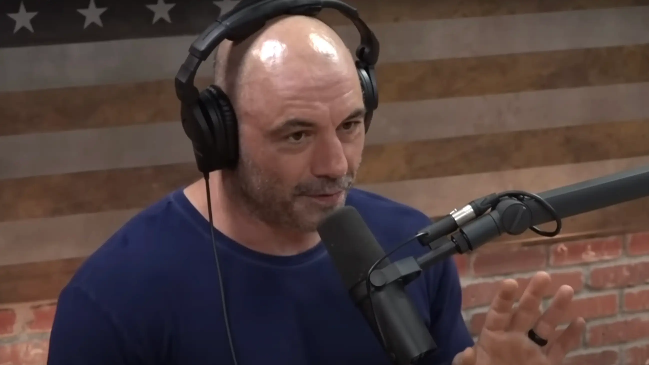 Joe Rogan Experience 