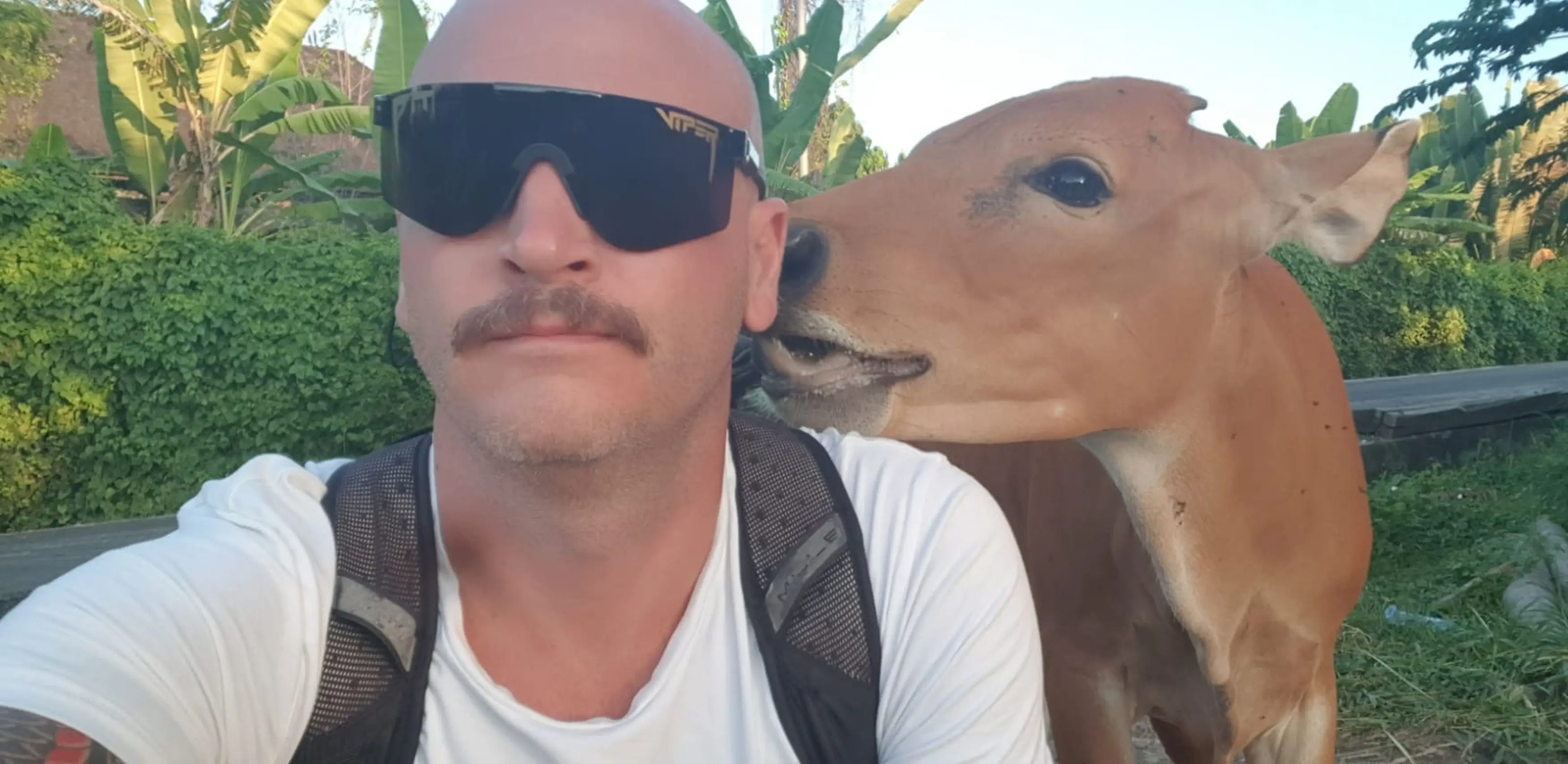 Andrew fell severely ill, and nobody knows why (Kennedy News and Media)