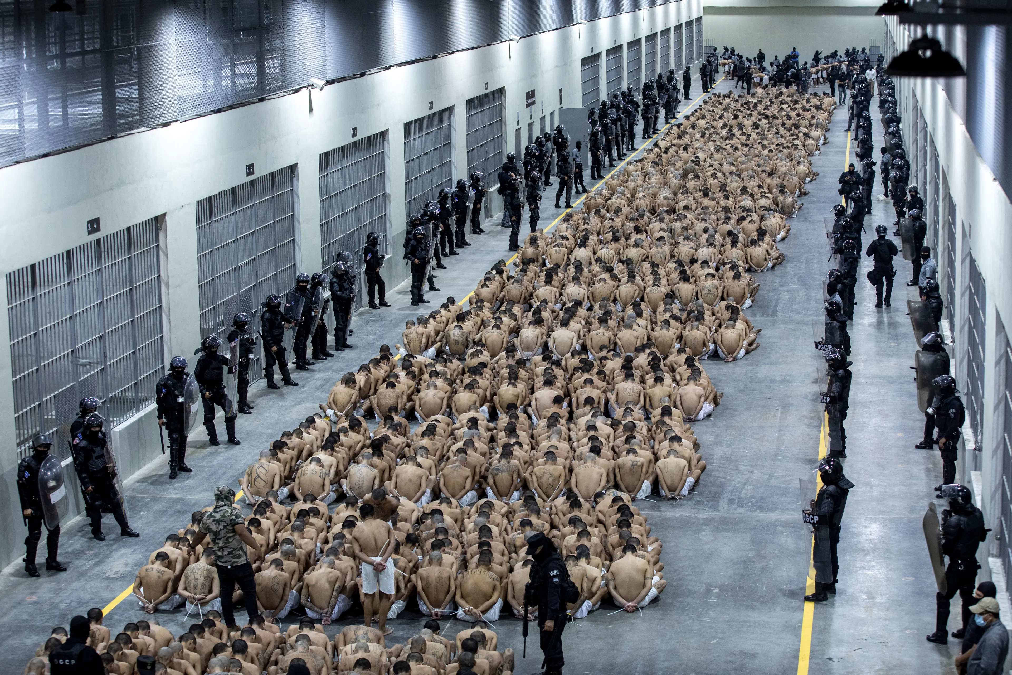 A host of alleged gang members from the US have now joined the inmates at CECOT (Handout/Presidencia El Salvador via Getty Images)