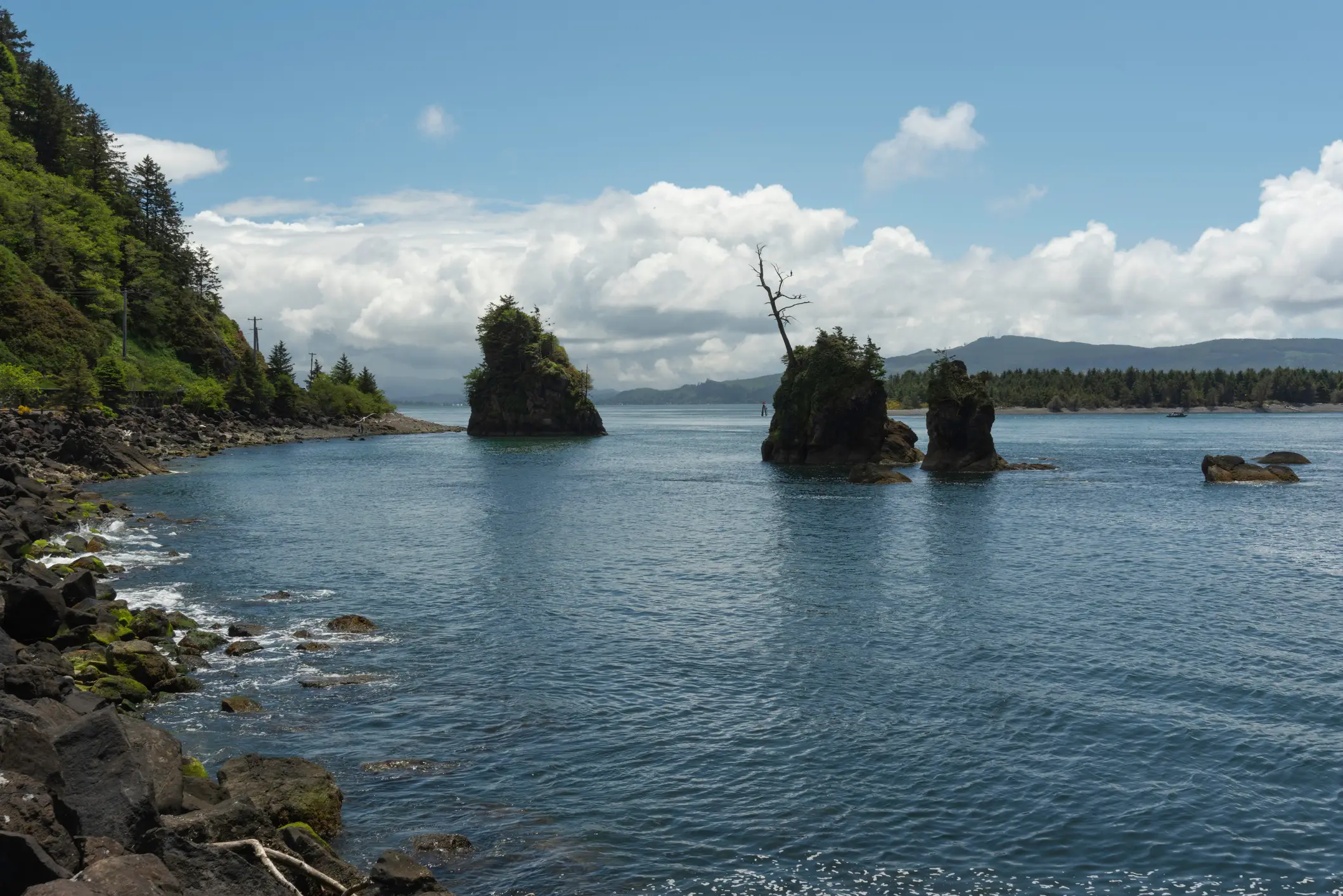 Asher went for a fishing trip at Tillamook Bay nearly 20 years ago, never to return (Getty Stock Image)