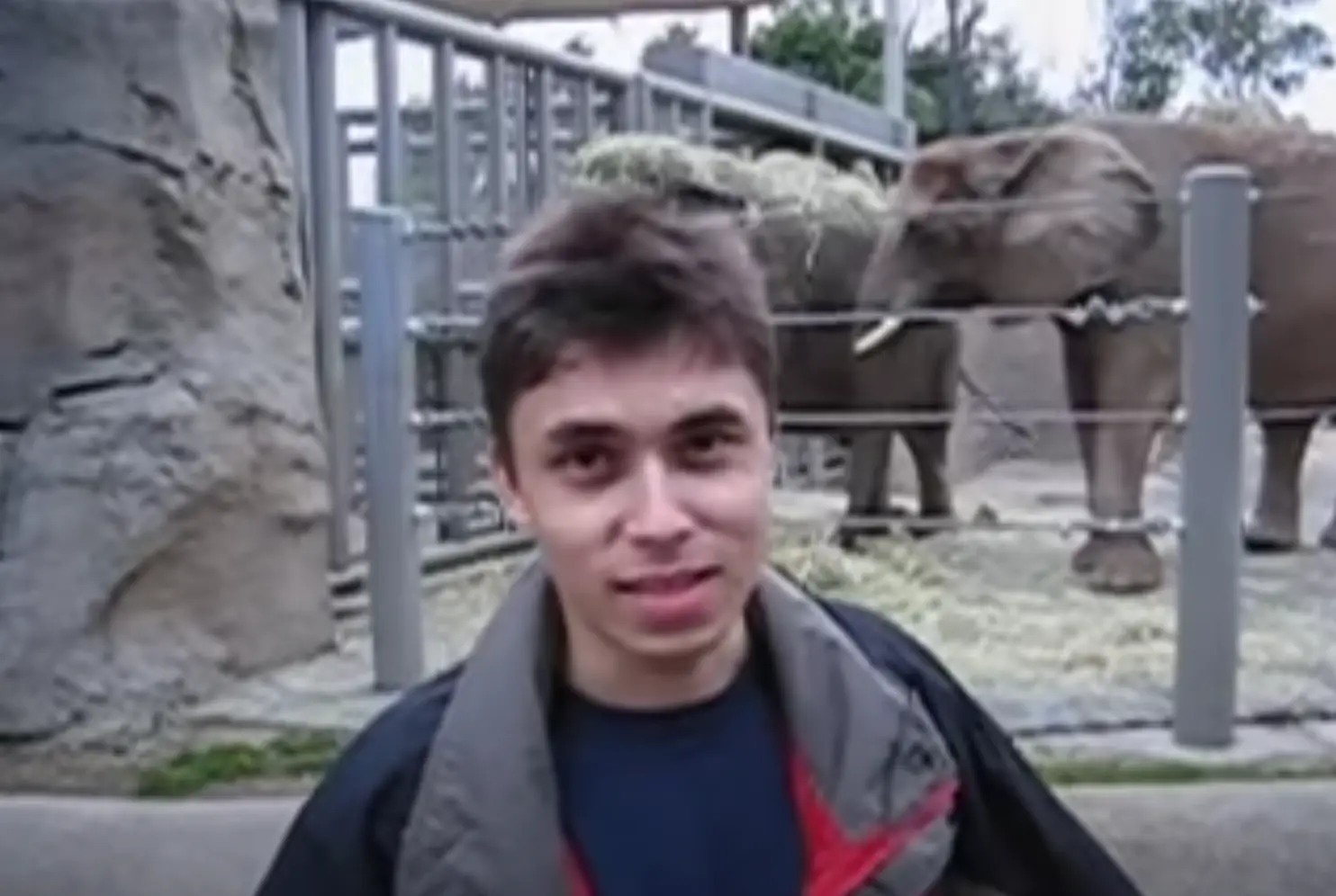 Jawed Karim made history with this video in April 2009 (YouTube/jawed)