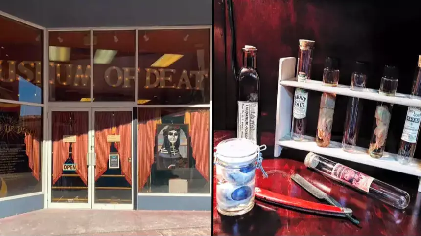 The Museum of Death has a tally to keep track of visitors who vomit or pass out