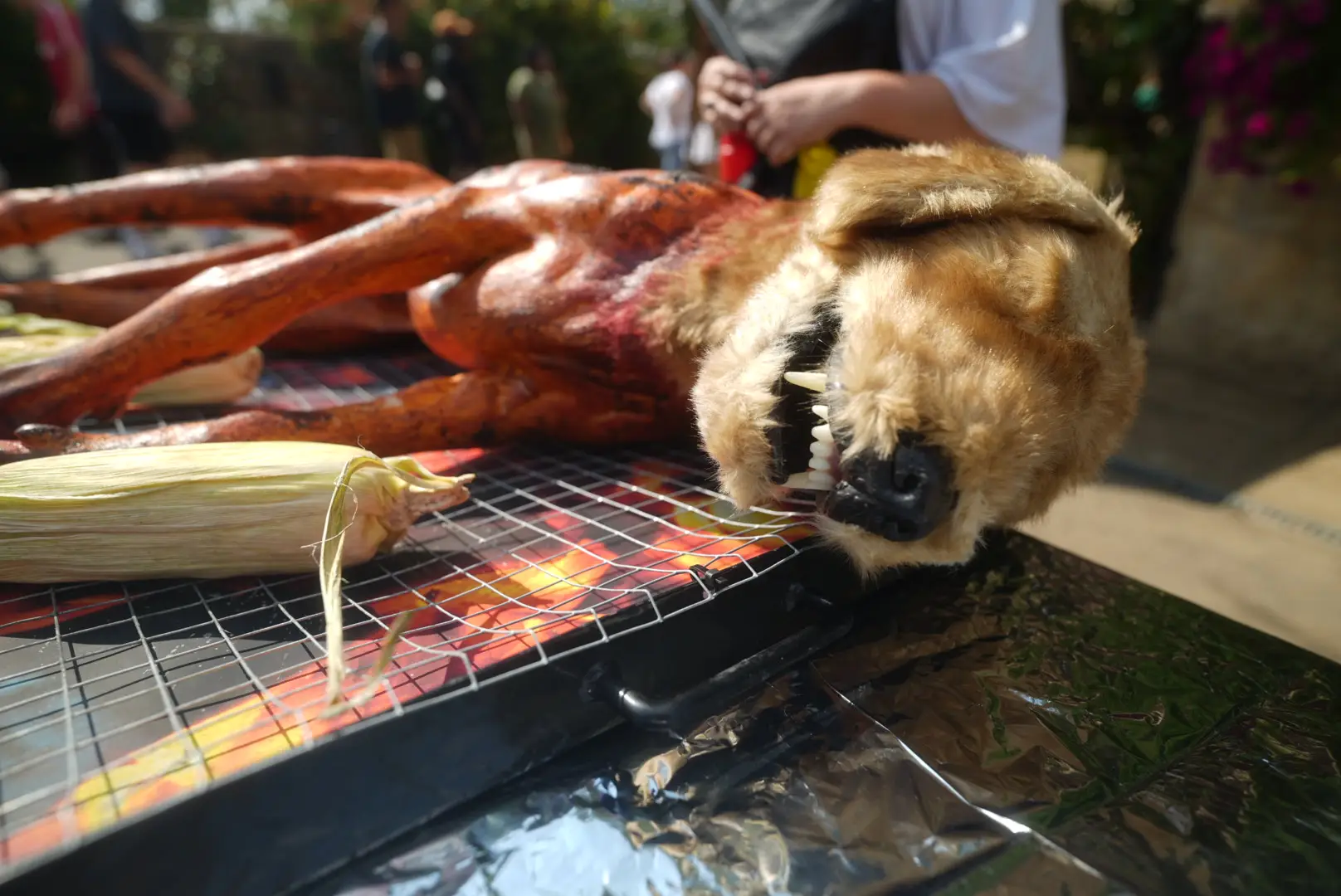 "Because there’s no more reason to eat a pig than a dog" (PETA)