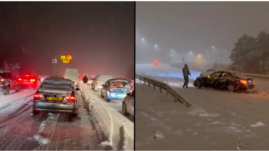 @Amanda_does@ProtonInspector/Twitter