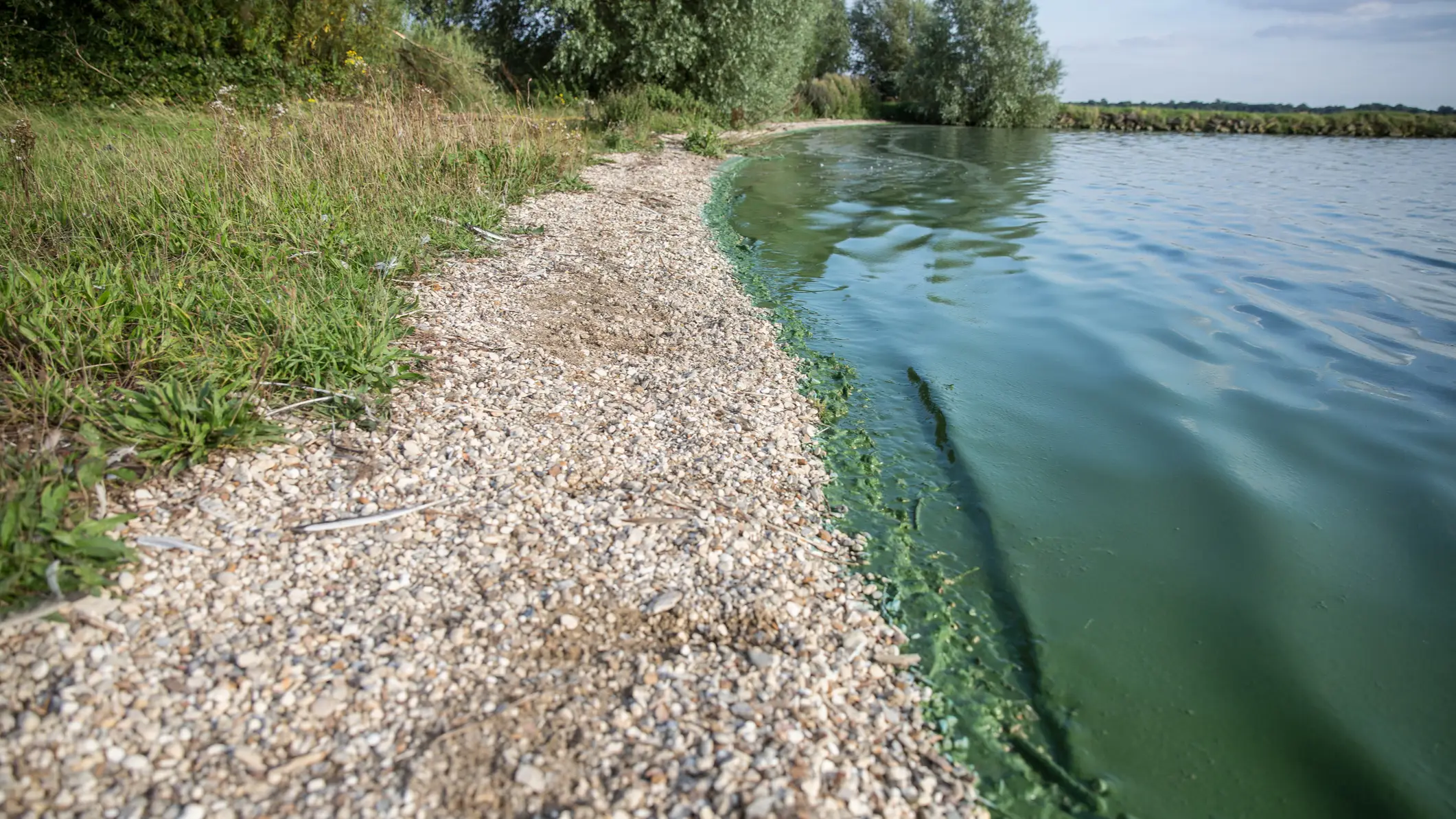 (Getty Stock Images)