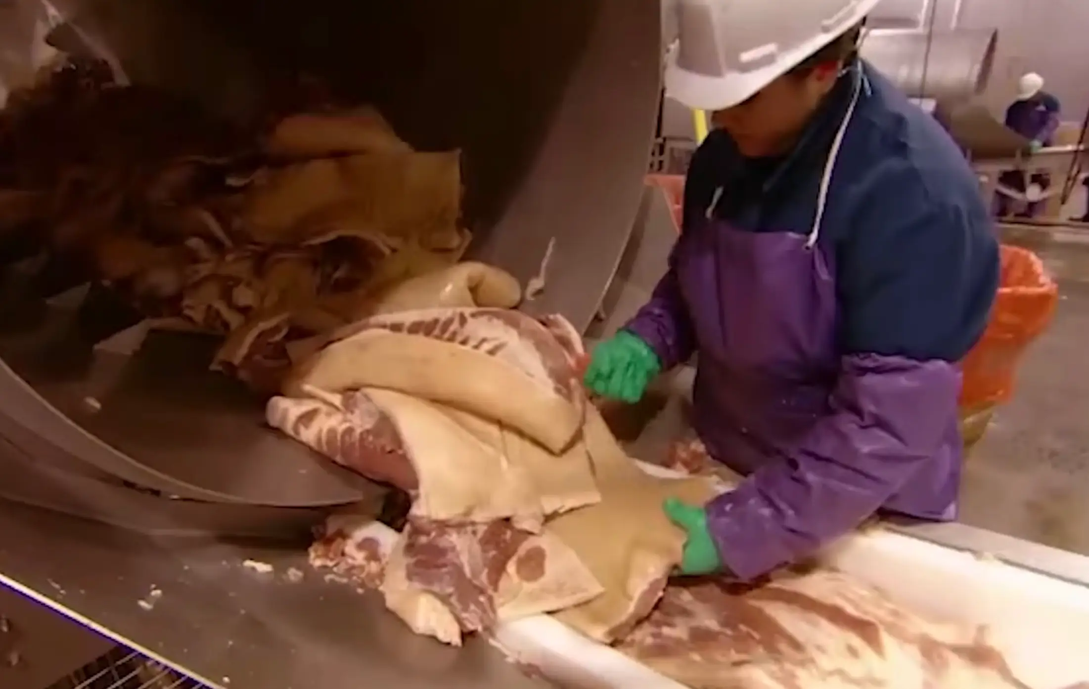 People have been left stunned after finding out how bacon is made (YouTube/Discovery UK)