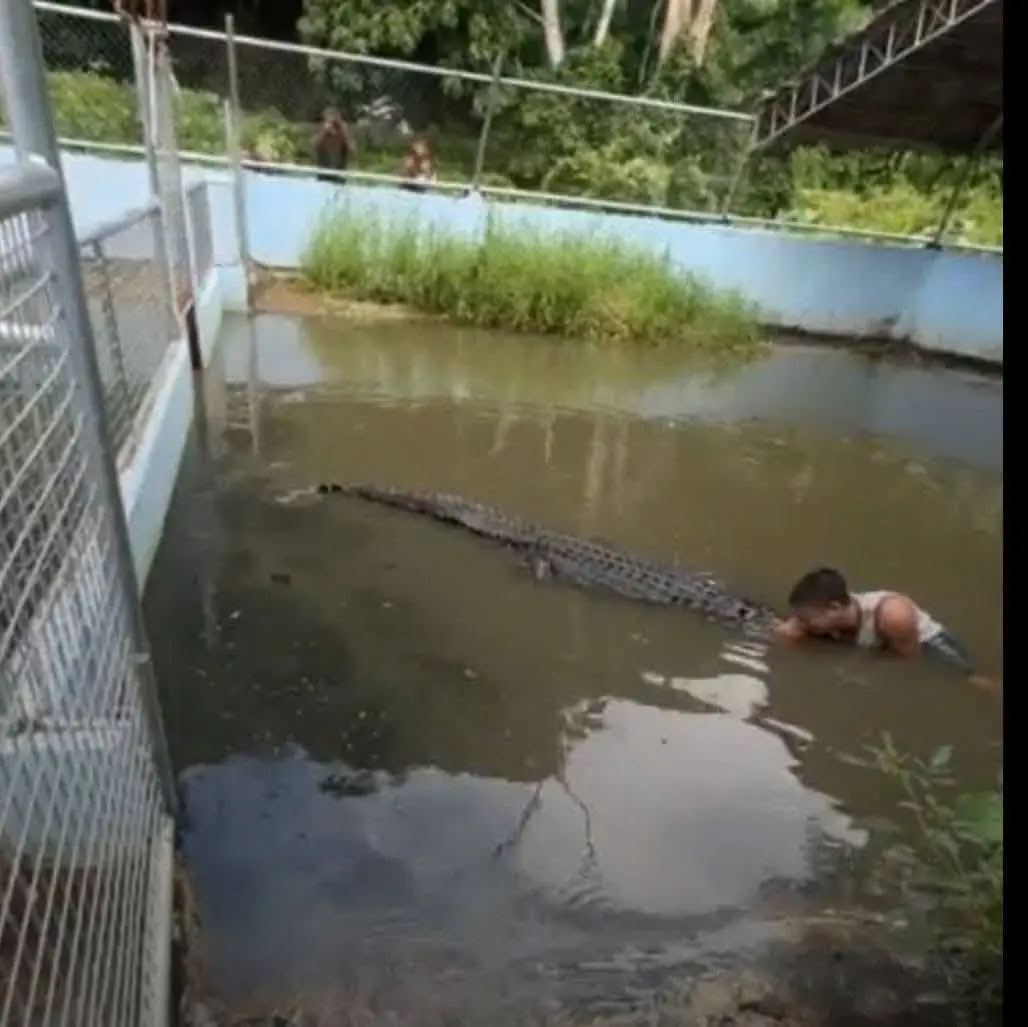 The crocodile bit him several times and tried to death roll the man, who was rushed to hospital afterwards (ViralPress)