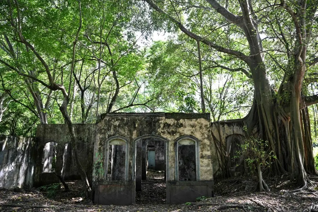 The devastating eruption killed 20,000 out of 29,000 of Armero's residents (JUAN BARRETO/AFP via Getty Images)