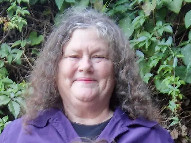 Catherine Hettinger invented what would become the fidget spinner back in the 90s, but her invention didn't take off back then.