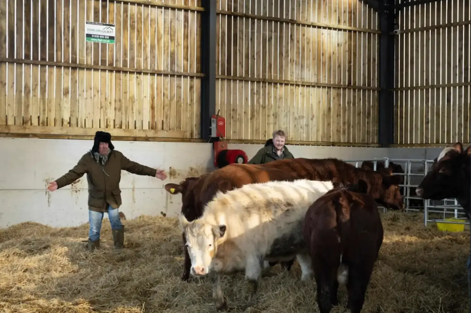 Viewers of Clarkson's Farm are reconsidering their use of animal products.