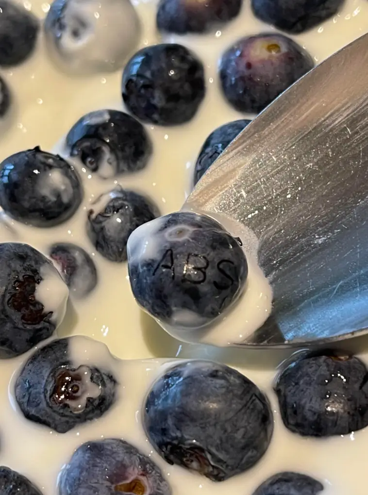 The code 'ABS' left the shopper rather confused.