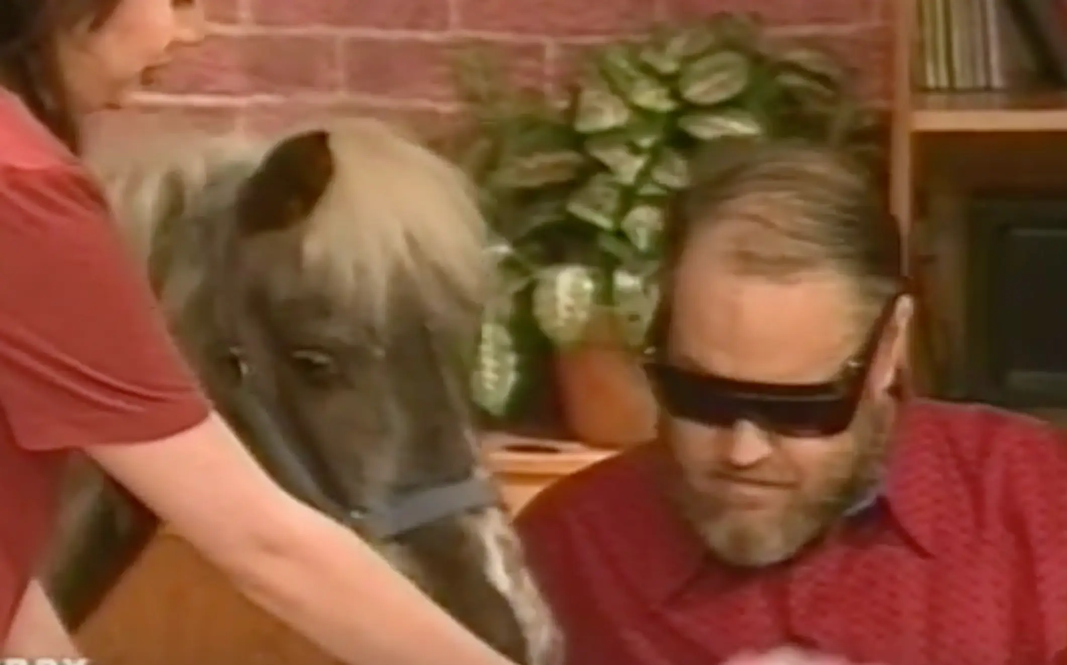 The man appeared alongside a Shetland pony who, he claimed, was his wife (CBS)