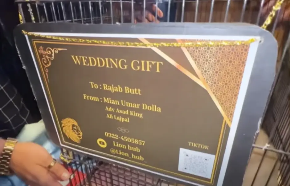 The YouTuber was given the lion cub as a wedding gift, but it's now been sent to a zoo (YouTube/Rajab’s Family)