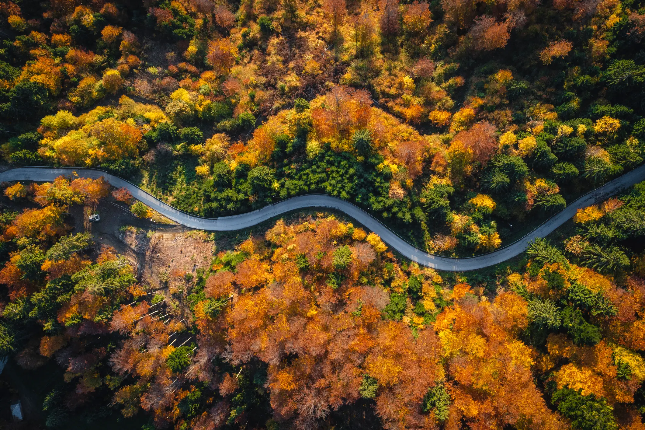 A beautiful autumn, or the start of a horror movie? (Getty Stock)