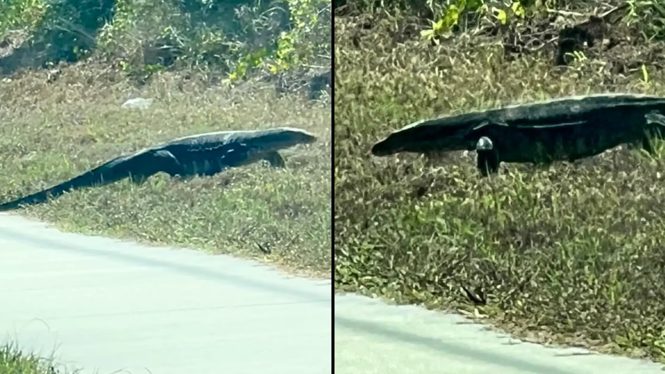 Facebook / Renee Aland