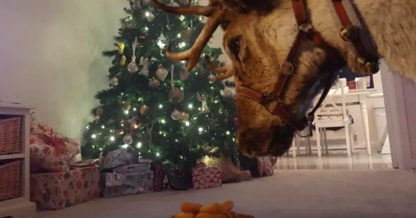 Rudolph can join you and your family in the lead up to Christmas (McDonald's)