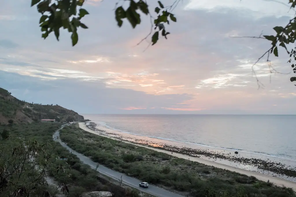 The swellshark was found off the coast of Dili, Timor-Leste (Giulio Paletta/UCG/Universal Images Group via Getty Images)