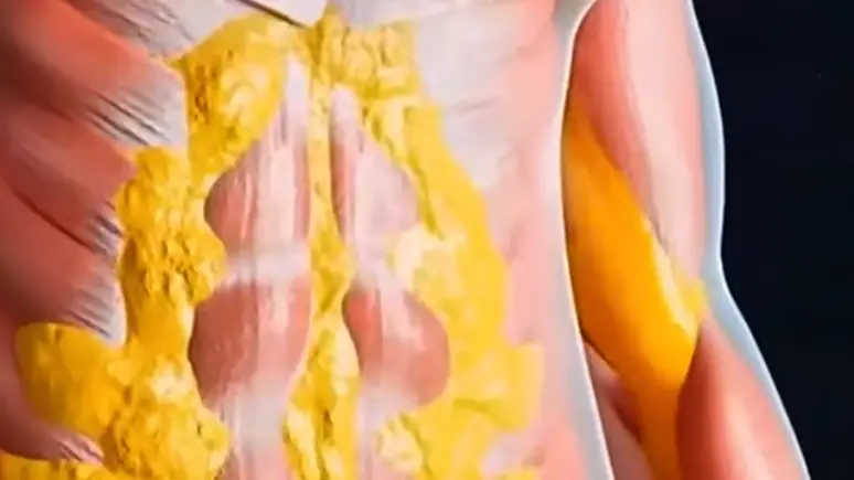 YouTube/Wellness Wise