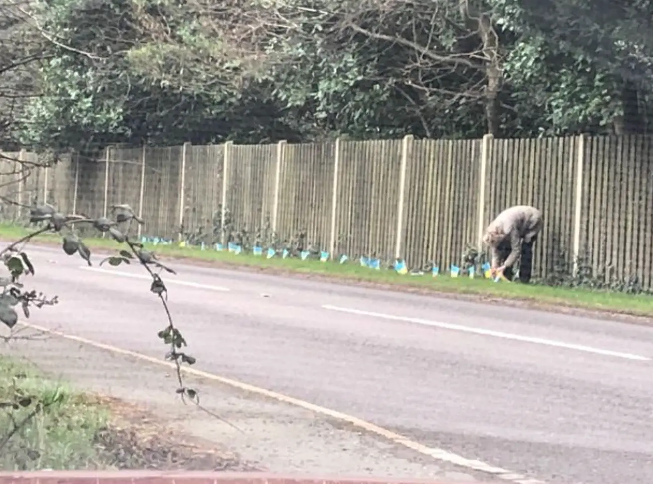 Rebecca De Saintonge placing yellow and blue flags outside Seacox Heath.