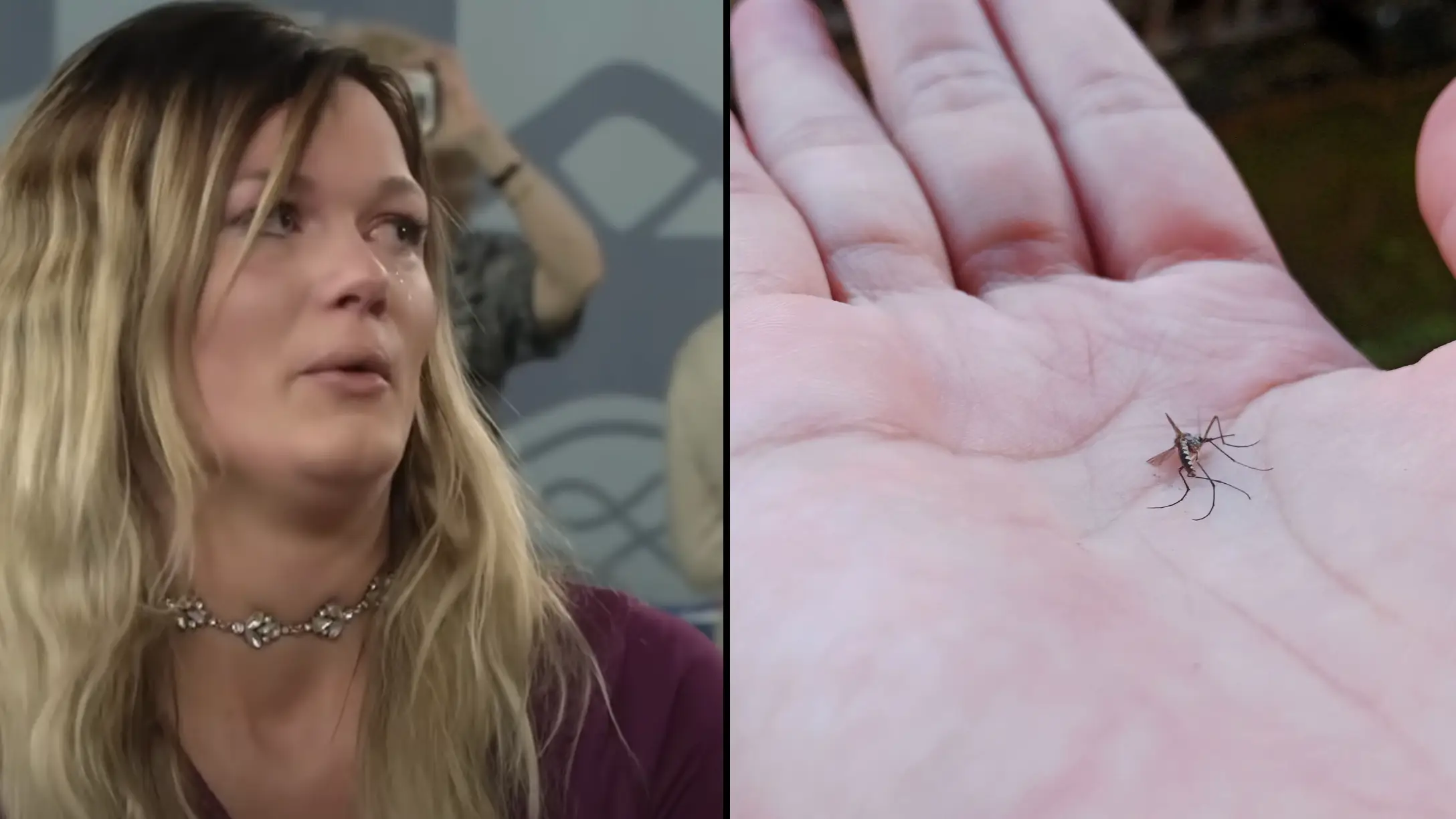 PBS / Getty Stock Photo