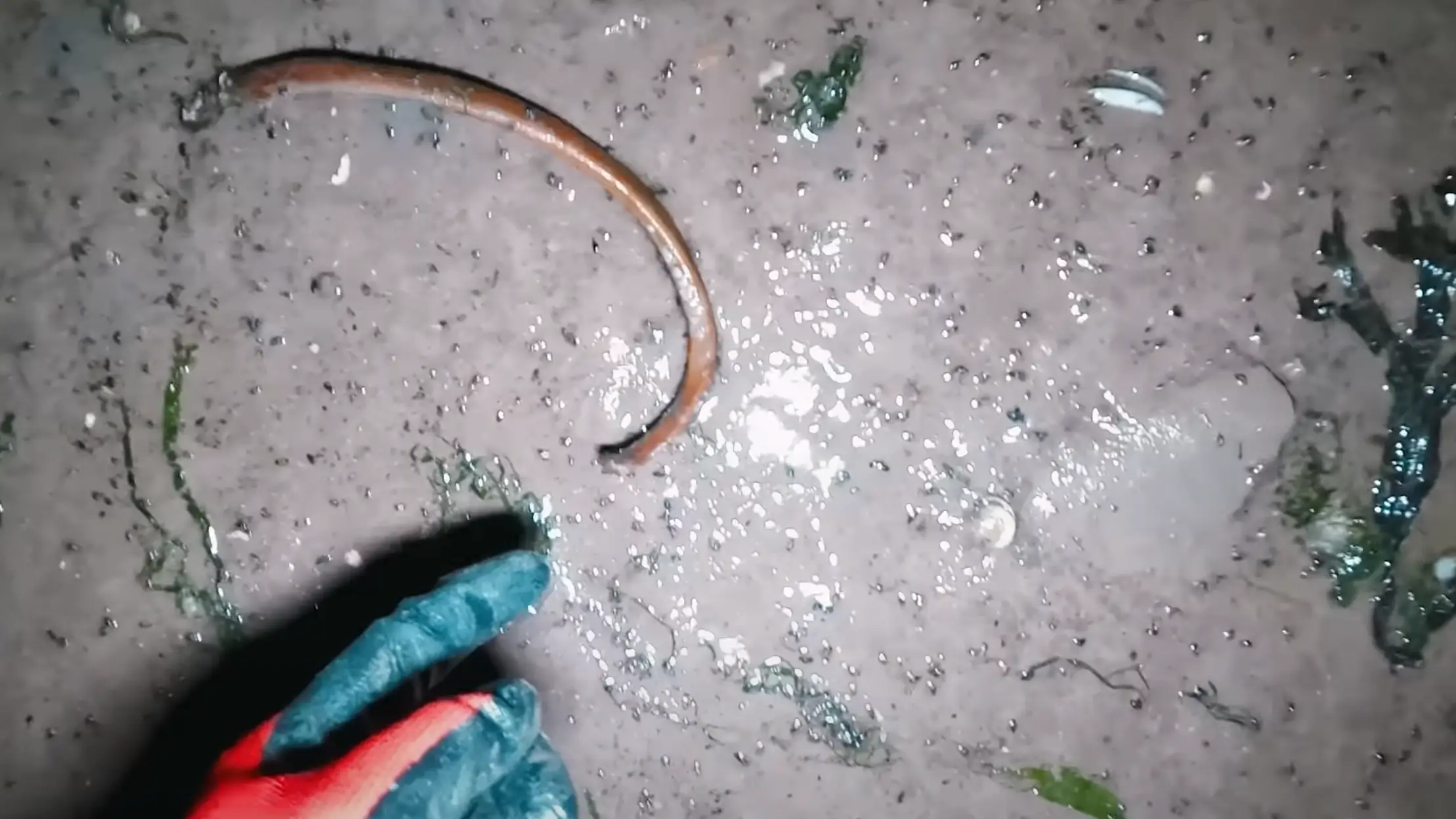 Haunting past of ‘world's most infected island' full of human skulls that is less than a mile away from UK coast