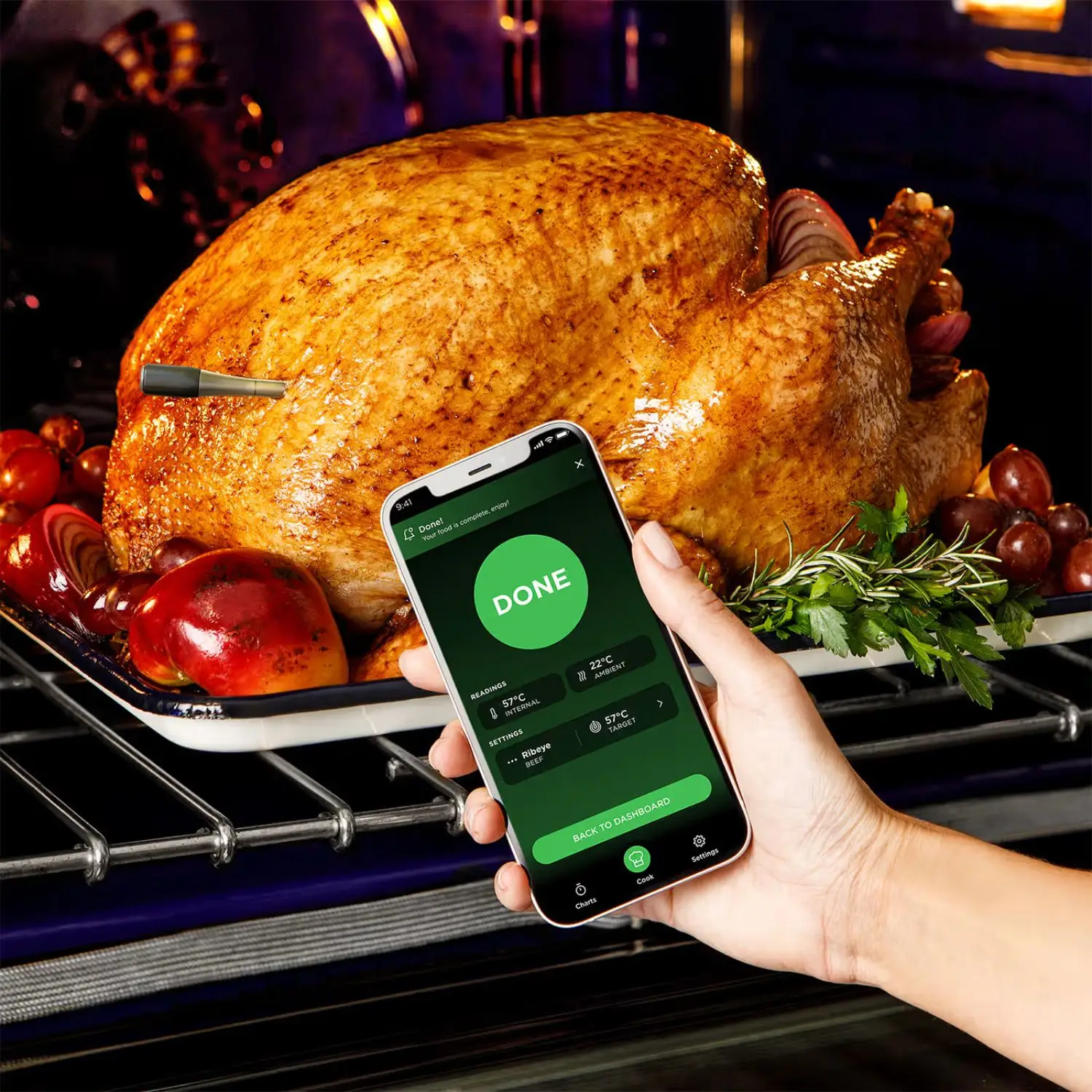 The probe is perfect for cooking a fuss-free Christmas meal (Ninja)