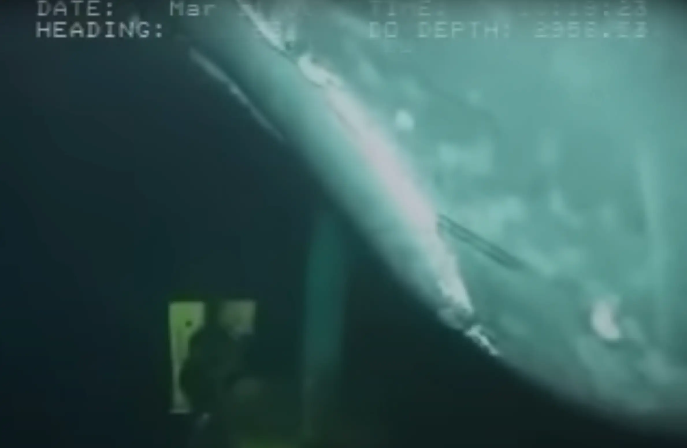 Maybe the whale was just saying hi (YouTube/Nick S)