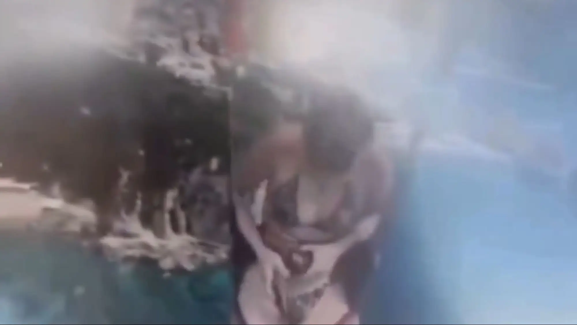 Tijana reportedly had a 'panic attack' mid-air (NewsX)