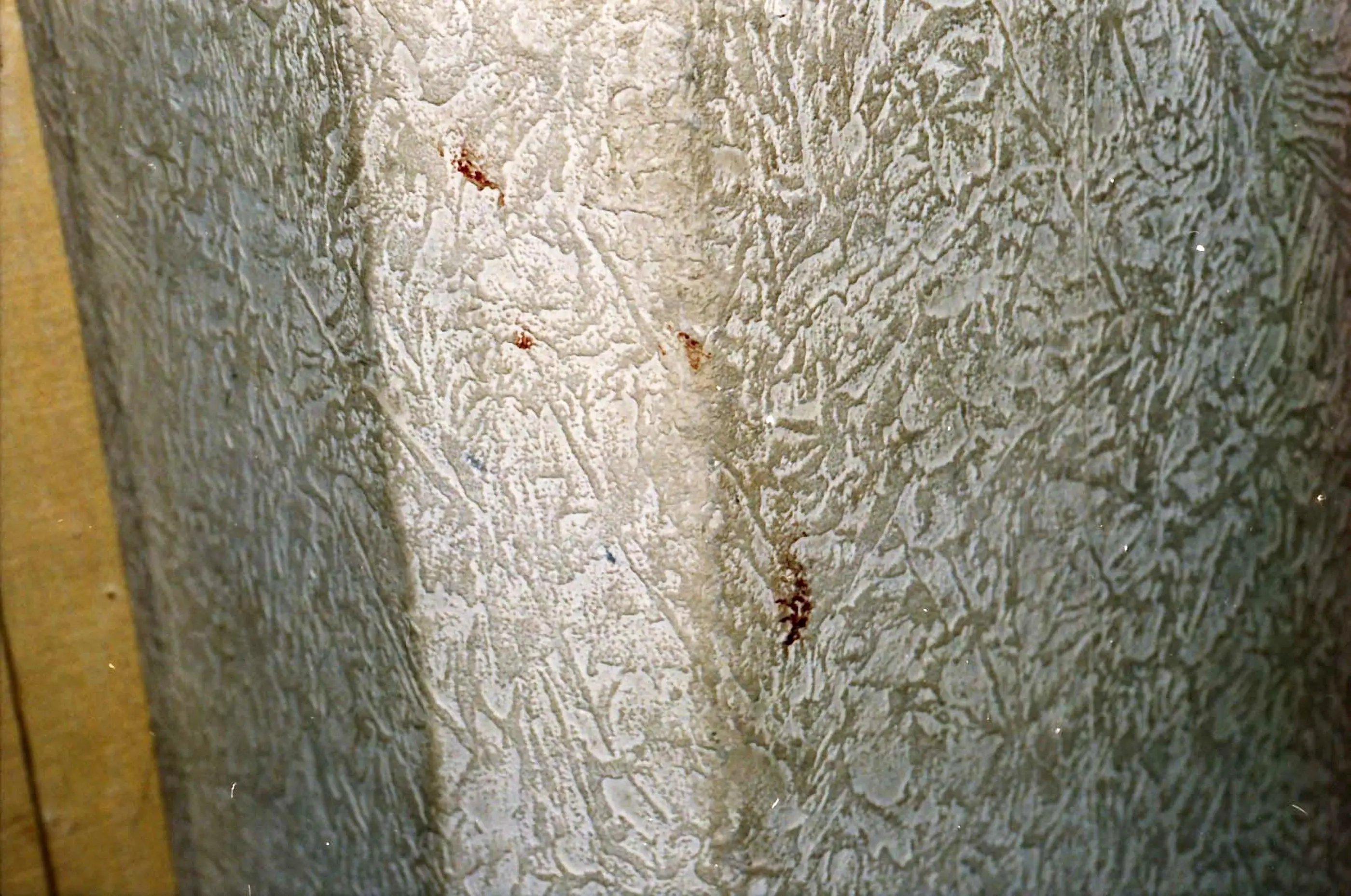 Blood could still be seen splattered on the walls (SWNS)