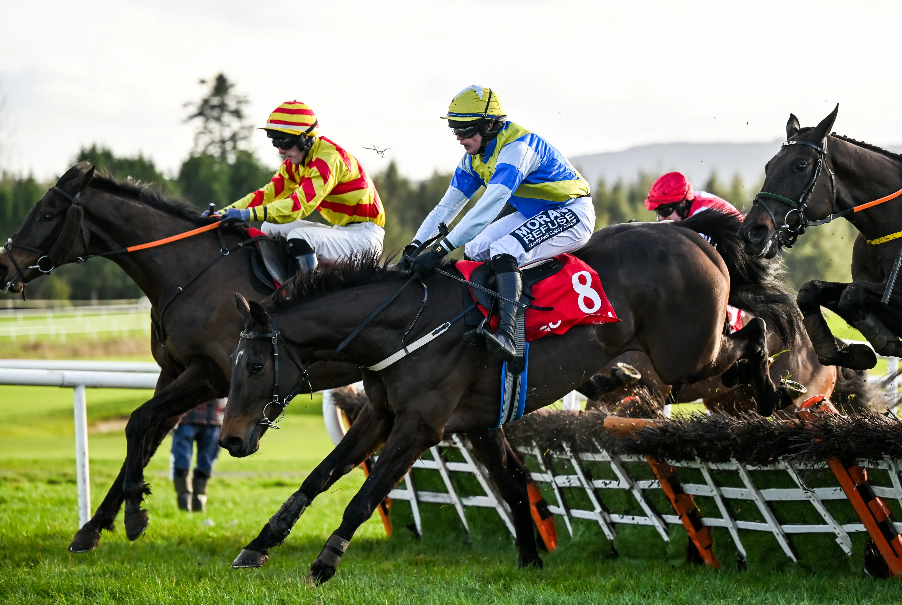 One of the horses he put a pet on was Rocky's Diamond, pictured here racing in January 2025 (David Fitzgerald/Sportsfile via Getty Images)