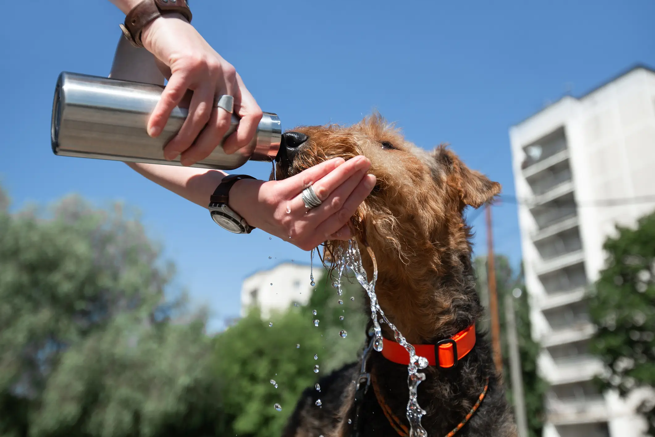 Staying hydrated is very important in the heat (Getty Stock)