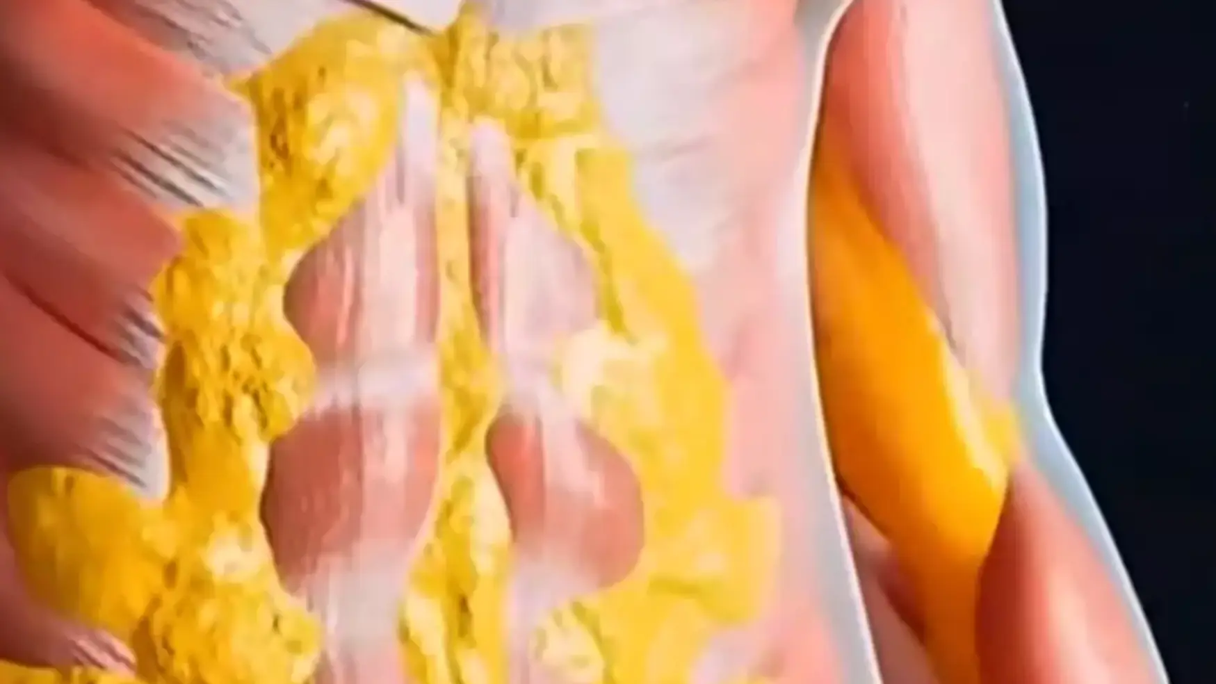 YouTube/Wellness Wise