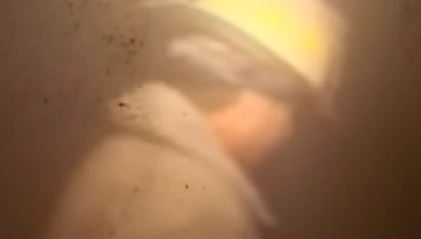 Jules had been inside the lobby of the North Tower when the South Tower collapsed (CBS)
