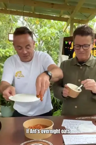 Ant is clearly a visual learner. (TikTok/@antanddec)