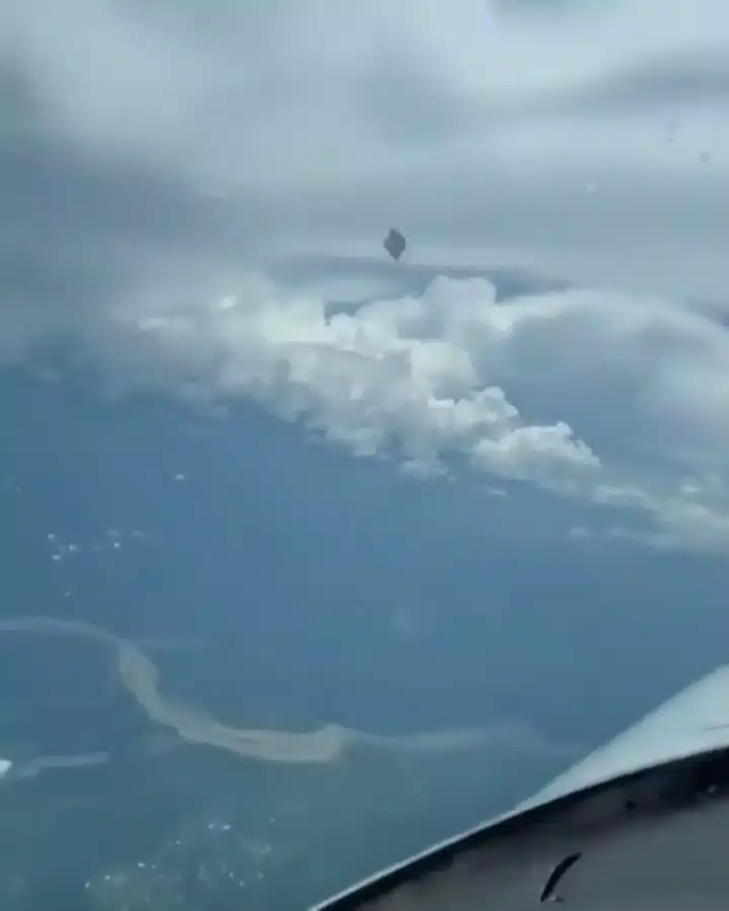 A birthday balloon? A rogue Wii Fit board? Or aliens? (X/Jorge Arteaga) 