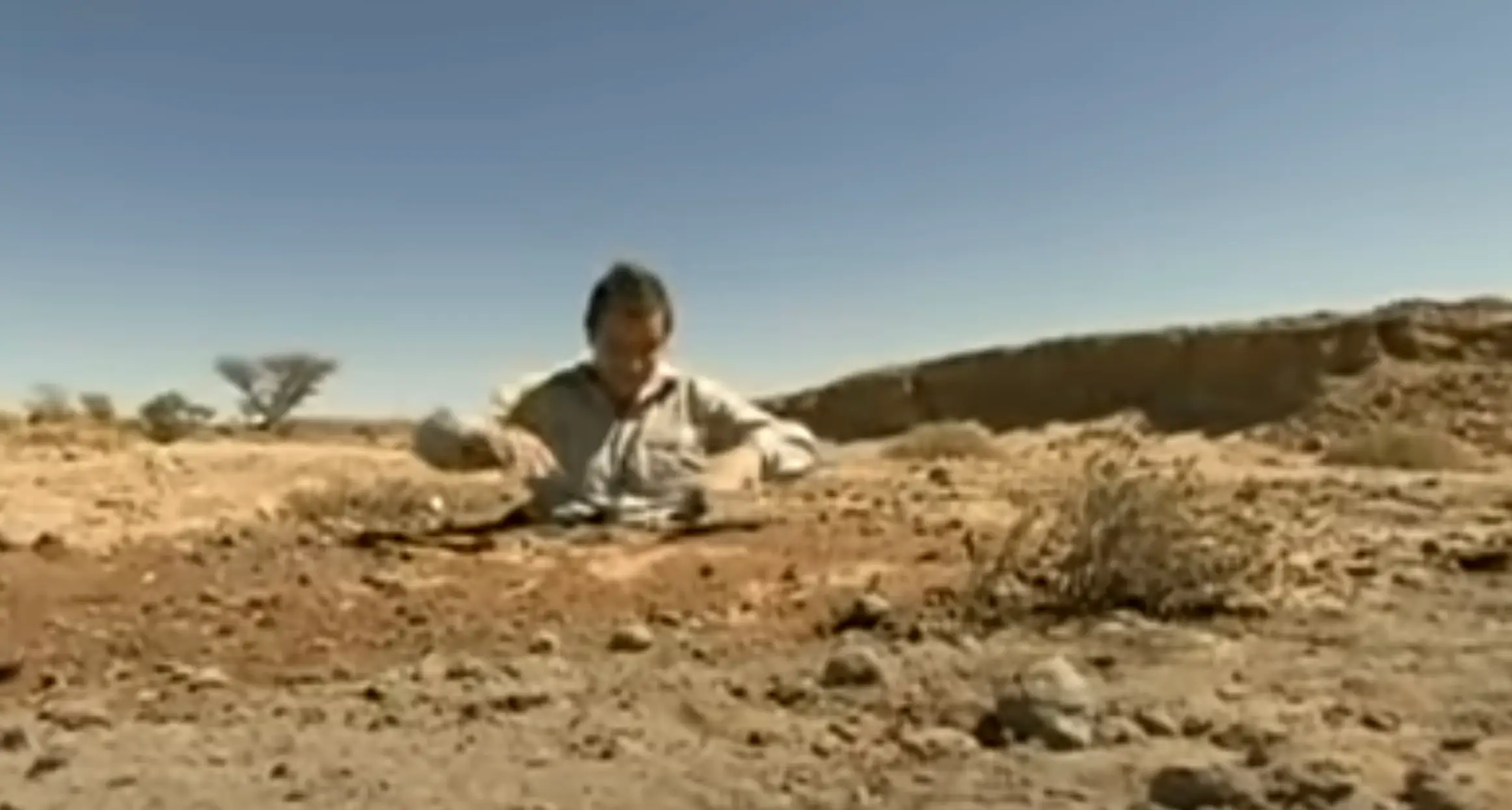 Bear Grylls bravely submerged himself in quicksand to demonstrate how to escape from it (Discovery)
