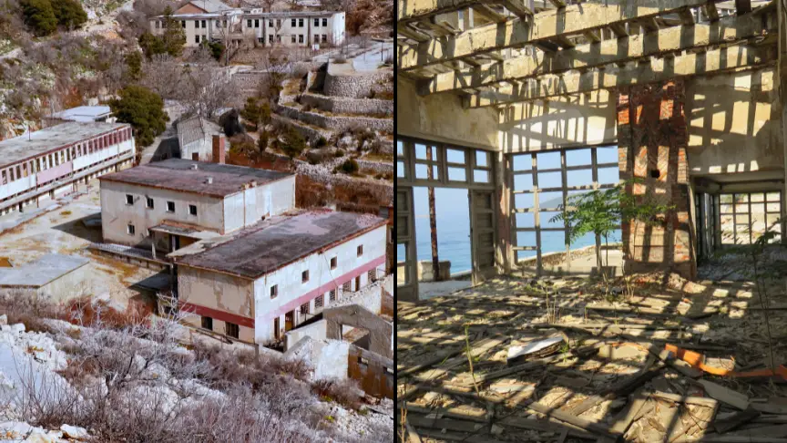 Getty/keni1/Getty/Thomas Schmidt