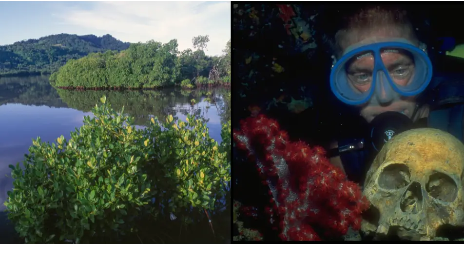 Stephen Frink/CORBIS/Corbis/DEA / V. GIANNELLA / Contributor