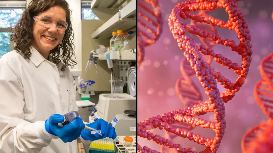 Scientists Have Finally Finished Decoding The Entire Human Genome