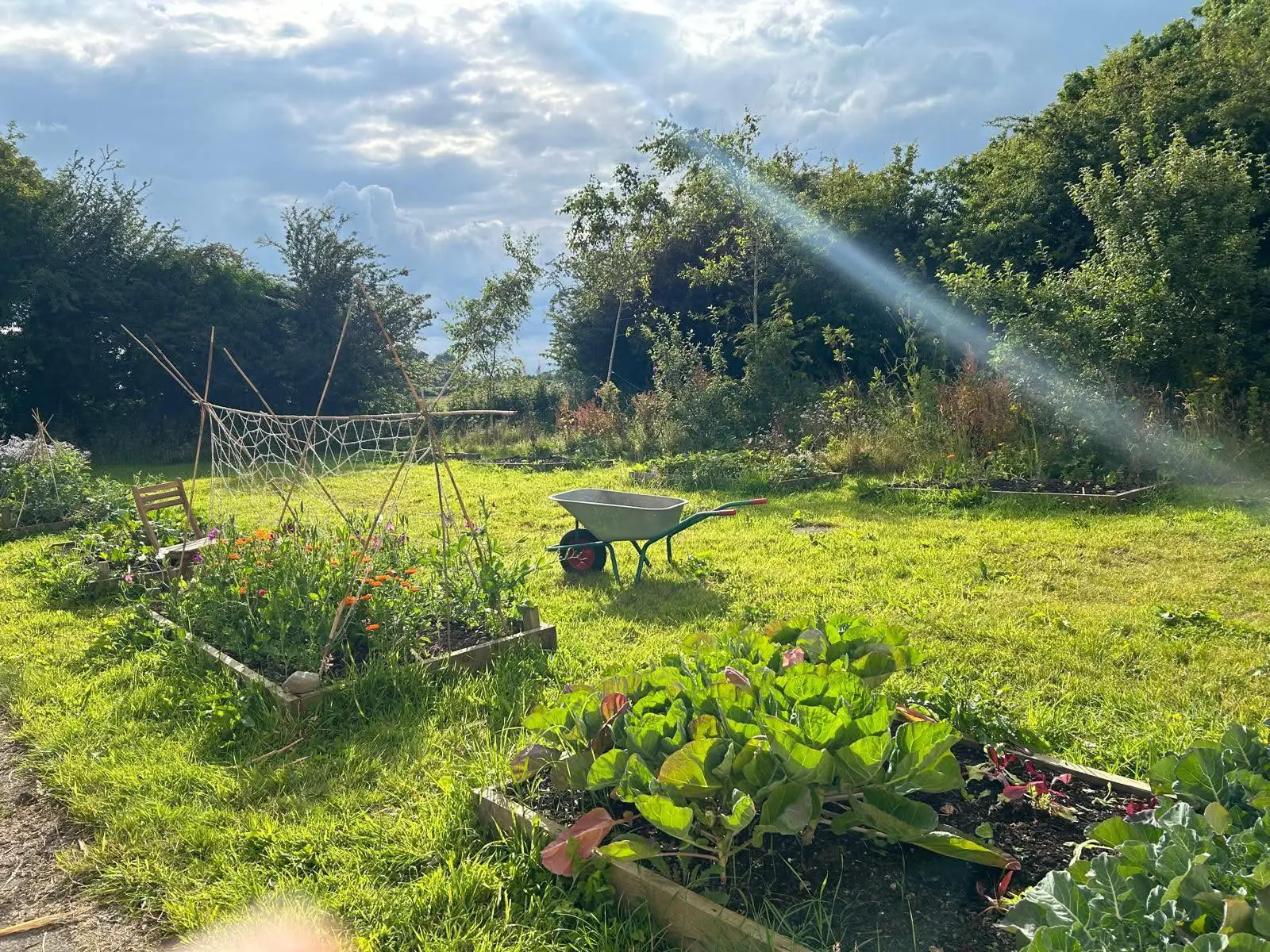 Water Street Association project (Facebook)