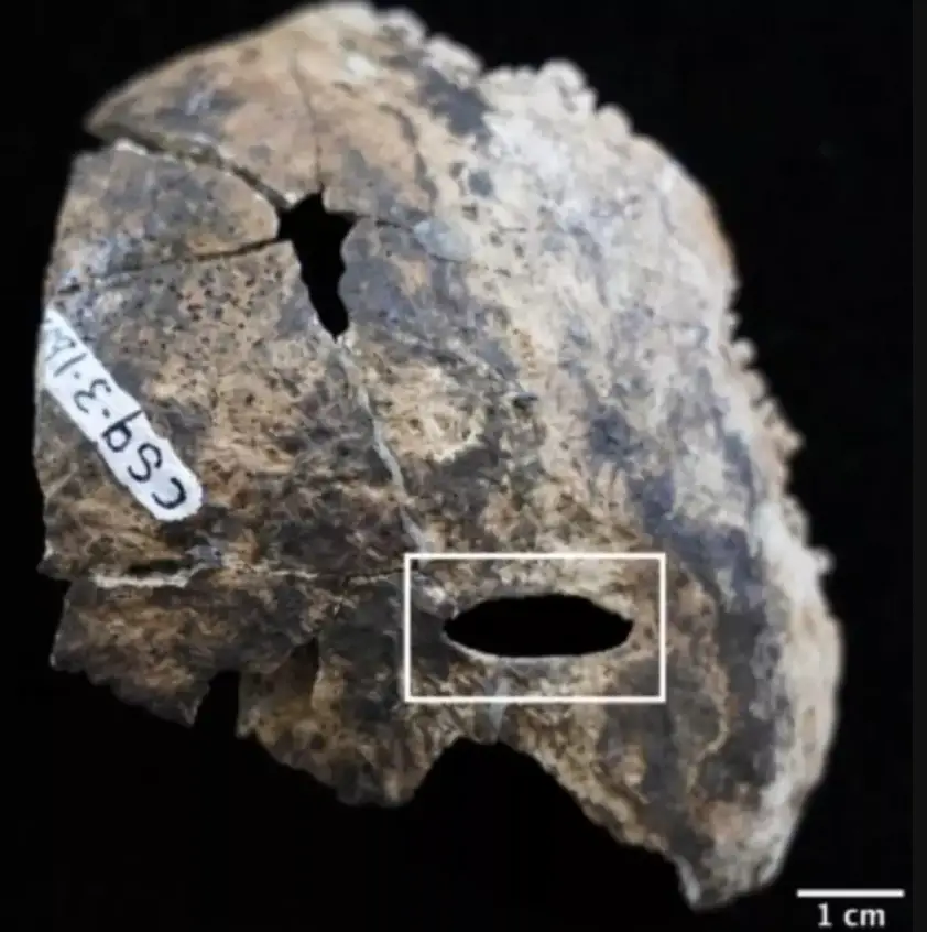 Bones recovered in the cave show signs of traumatic injuries (Michele Bleuze)