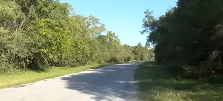 Sonia Exelby's body was found in a wooded area a week after she arrived in the US (YouTube/WKMG News)